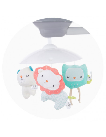 Leagan electric Chipolino Aida gray dumbo,LSHAD0202GY