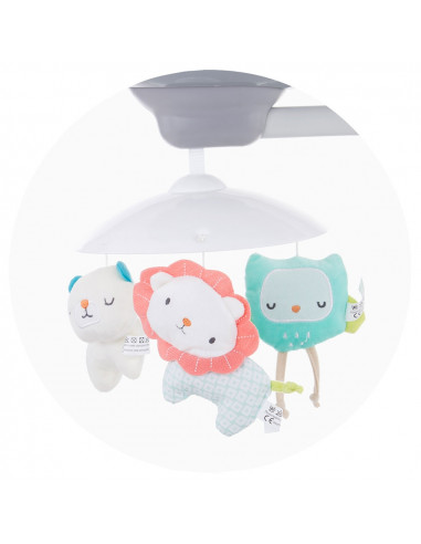 Leagan electric Chipolino Aida doggie gray,LSHAD0203DG
