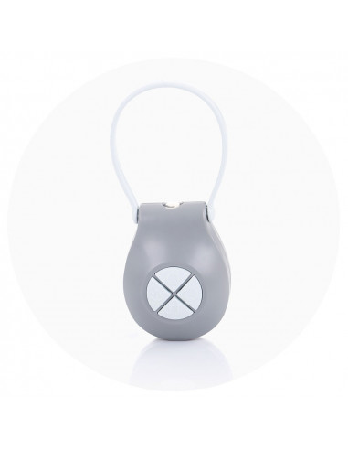Leagan electric Chipolino Aida doggie gray,LSHAD0203DG