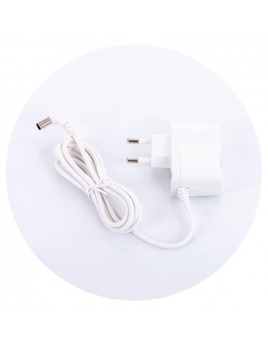 Leagan electric Chipolino Felicity lion,LSHFE0201LI