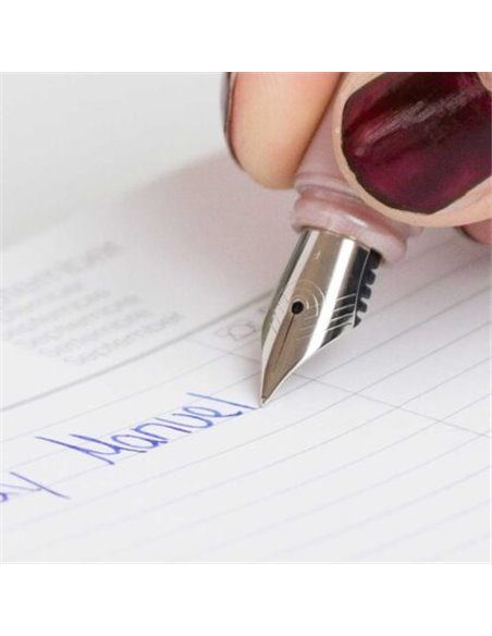 Stilou Schneider Ceod Shiny, Alb