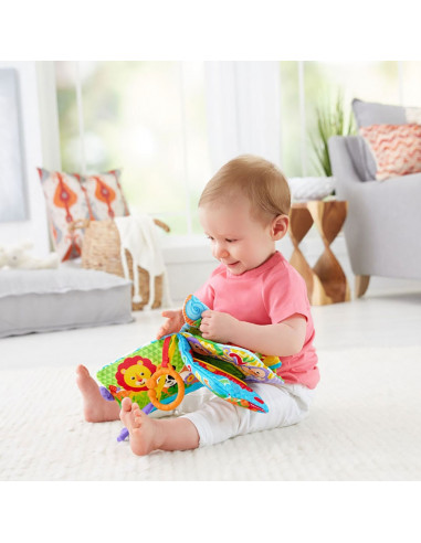 Jucarie Fisher Price by Mattel Newborn Carticica cu numere si