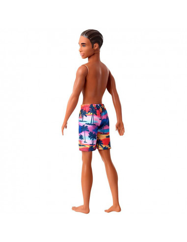 Papusa Barbie by Mattel Fashion and Beauty Ken la plaja