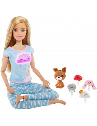 Set Barbie by Mattel Wellness and Fitness papusa