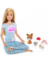 Set Barbie by Mattel Wellness and Fitness papusa