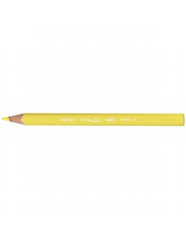 Creioane colorate BIC Evolution Triunghiulare, 12 buc/set Creioane colorate BIC Evolution Triunghiulare, 12 buc/set