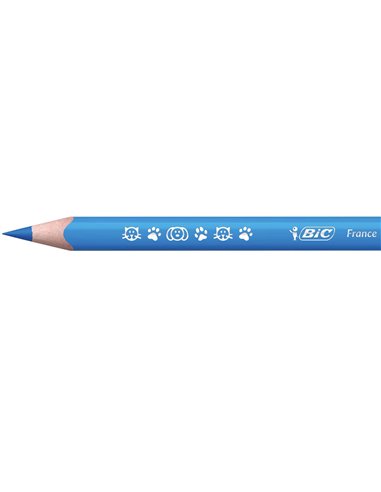 Creioane colorate BIC Evolution Triunghiulare, 12 buc/set Creioane colorate BIC Evolution Triunghiulare, 12 buc/set