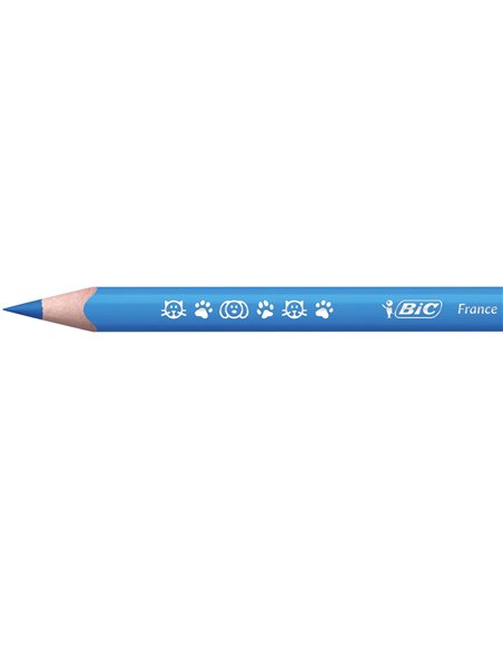 Creioane colorate BIC Evolution Triunghiulare, 12 buc/set Creioane colorate BIC Evolution Triunghiulare, 12 buc/set
