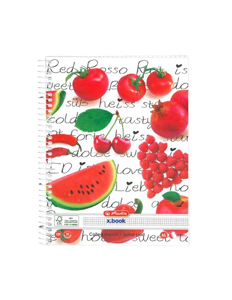 Caiet A5 cu spirala Herlitz 9484750, 100 file, 70 g/mp, Matematica, Motiv enjoy life