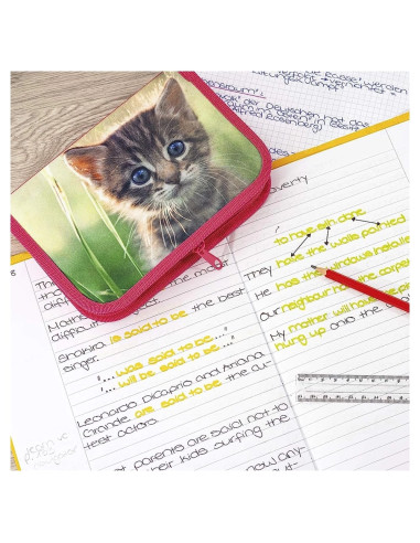 EF577557,Penar echipat 42 piese pisici eberhard faber