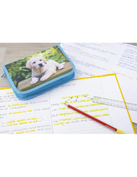 EF577558,Penar echipat 39 piese, Motiv catel Eberhard Faber