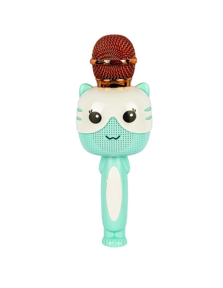 ROB-Q6,Microfon karaoke pisica, bluetooth