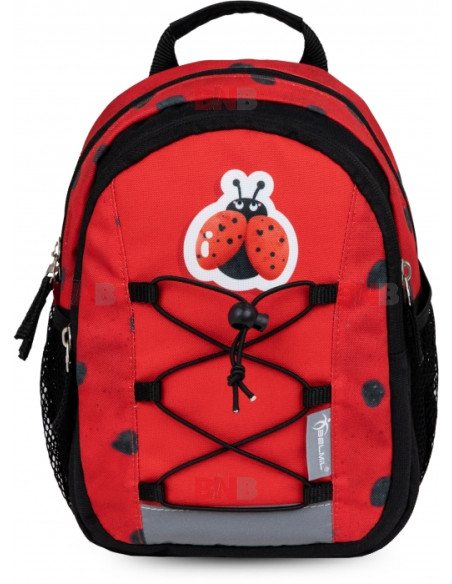 305-9-41,Rucsac mini kiddy, dimensiune 23 x 20 x 9 + 6 cm, motiv lady bug