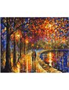 Pictura pe numere Brushme P4281, 40x50cm, Plimbare noaptea in parc