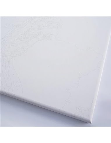 Pictura pe numere Brushme P4259, 40x50cm, Pisica colorata