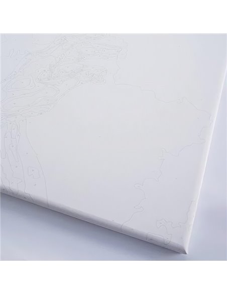 Pictura pe numere Brushme P4278, 40x50cm, Luna plina