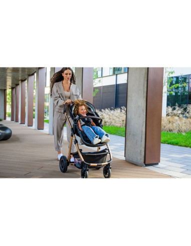 BN-LO-AMBER_2IN1_BLACK_SILVER,Carucior 2 in 1, Lionelo, Amber, Cadru aluminiu, Cu landou intarit si salteluta moale, Reversibil,