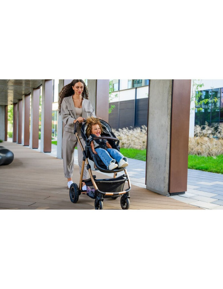 BN-LO-AMBER_2IN1_BLACK_SILVER,Carucior 2 in 1, Lionelo, Amber, Cadru aluminiu, Cu landou intarit si salteluta moale, Reversibil,
