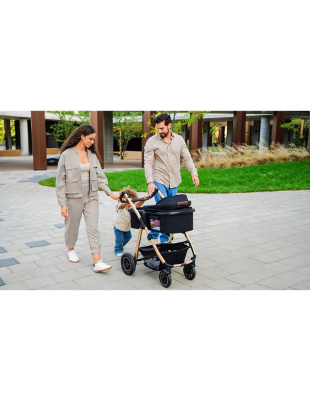 BN-LO-AMBER_3IN1_BLACK_SILVER,Carucior 3 in 1, Lionelo, Amber, Cadru aluminiu, Cu landou intarit si salteluta moale, Scoica auto