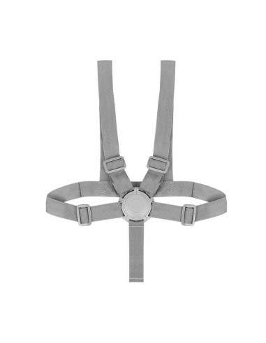 BN-LO-DALIA_SET_GREY_STONE_NATURAL,Set balansoar si scaun de masa, Lionelo, Dalia, Scaun cu 2 suporturi pentru picioare, Cu tavi