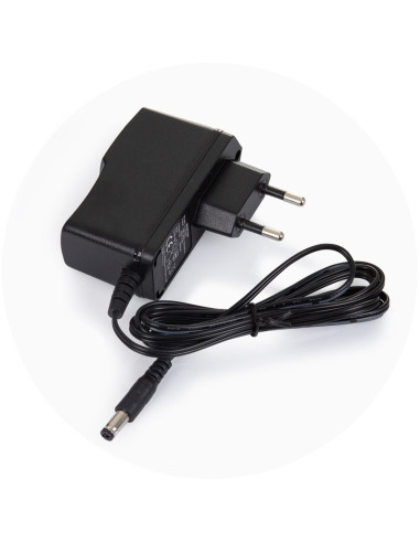 SHEOS0242PI,Leagan electric Chipolino Oasis pink