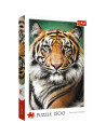 VV-26204,Puzzle Trefl 1500 Portret Tigru