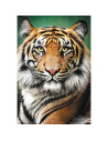 VV-26204,Puzzle Trefl 1500 Portret Tigru