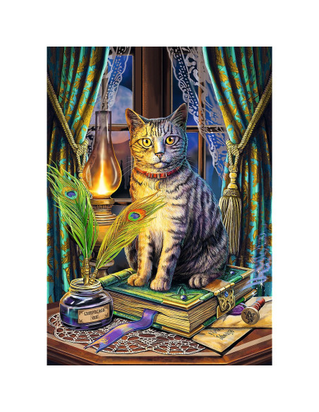 VV-10899,Puzzle Trefl 1000 Premium Plus Cartea Umbrelor
