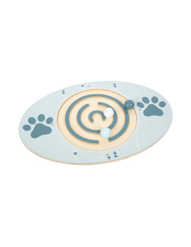 L11953,Placa de echilibru