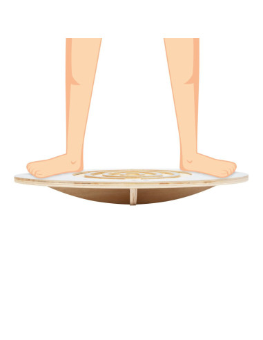 L11953,Placa de echilibru