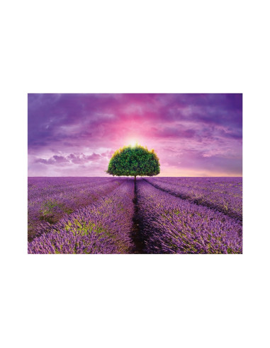ROB-561298,Puzzle Camp cu lavanda, 2000 piese - DINO TOYS