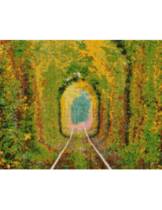 Goblen cu Diamante patrate,... 2