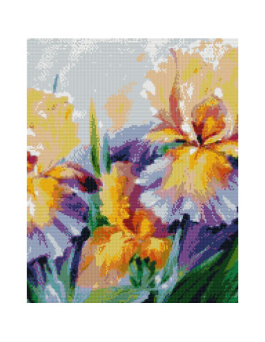 GBN362_4050,Goblen cu Diamante patrate, 40x50 cm, Eleganta Irisilor, GBN-362