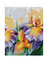GBN362_4050,Goblen cu Diamante patrate, 40x50 cm, Eleganta Irisilor, GBN-362