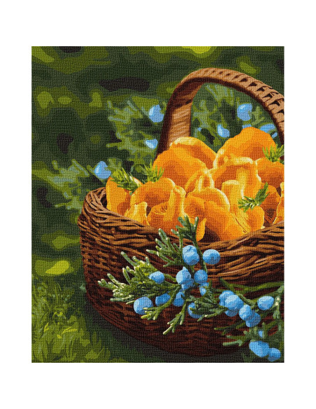 Pictura pe numere, 40x50 cm, KH5602