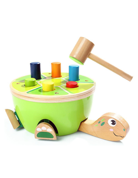 TPB5157,Joc de ciocanit, Testoasa simpatica