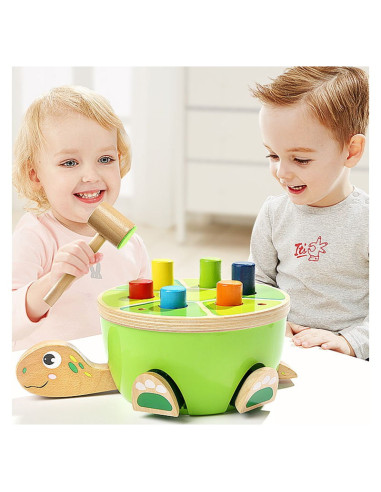 TPB5157,Joc de ciocanit, Testoasa simpatica