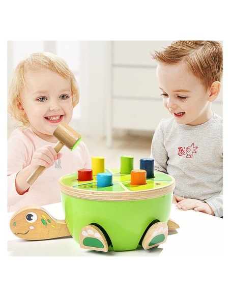 TPB5157,Joc de ciocanit, Testoasa simpatica