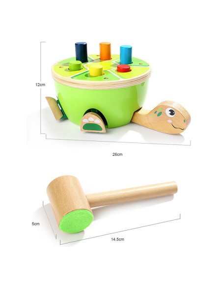 TPB5157,Joc de ciocanit, Testoasa simpatica