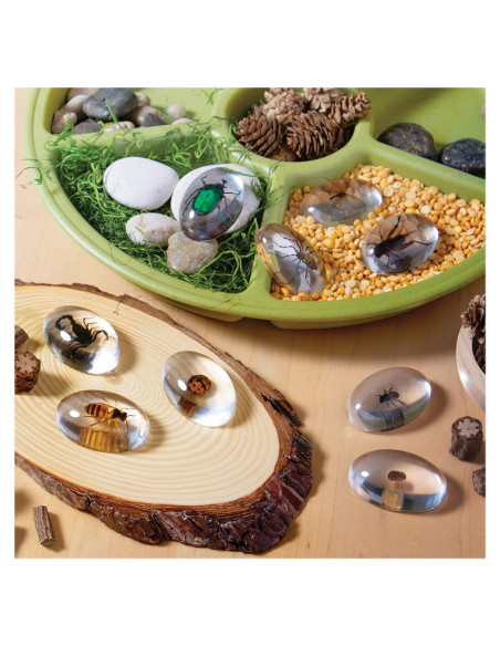 G4500,Specimen Stones, pietre din acril cu insecte, Guidecraft