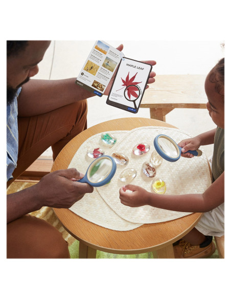 G4502,Specimen Stones, pietre din acril cu plante, Guidecraft