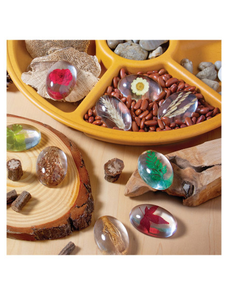 G4502,Specimen Stones, pietre din acril cu plante, Guidecraft