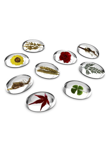 G4502,Specimen Stones, pietre din acril cu plante, Guidecraft