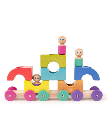 T-TRM-RBW-801T,Tegu Tram, tramvai din lemn magnetic