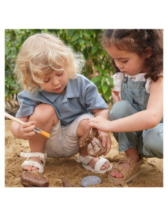 G300656,Fosile magnetice, set 6 perechi, Guidecraft 2