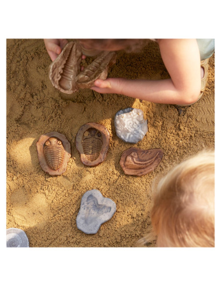 G300656,Fosile magnetice, set 6 perechi, Guidecraft