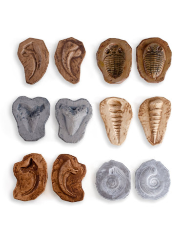 G300656,Fosile magnetice, set 6 perechi, Guidecraft