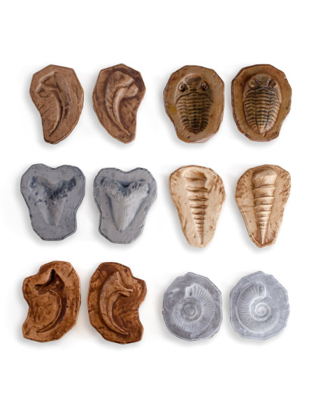 G300656,Fosile magnetice, set 6 perechi, Guidecraft