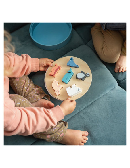 BSGA502,Sortator de forme, Animale polare, BS Toys