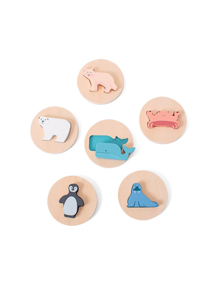 BSGA501,Puzzle de potrivire a formelor, Animale polare